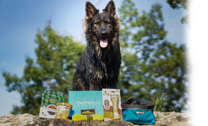 Giant Dog Subscription ( Month to Month ) - 40% OFF