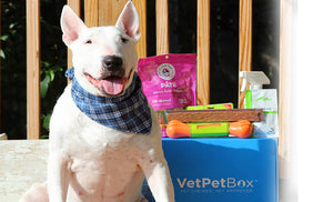Large Dog Box (RGN) - 3 Month Gift