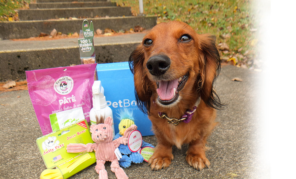 Petite Dog Subscription (RBN) - 3 Month