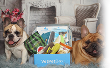 Load image into Gallery viewer, Medium Dog Box (PNY) - 6 Month Gift